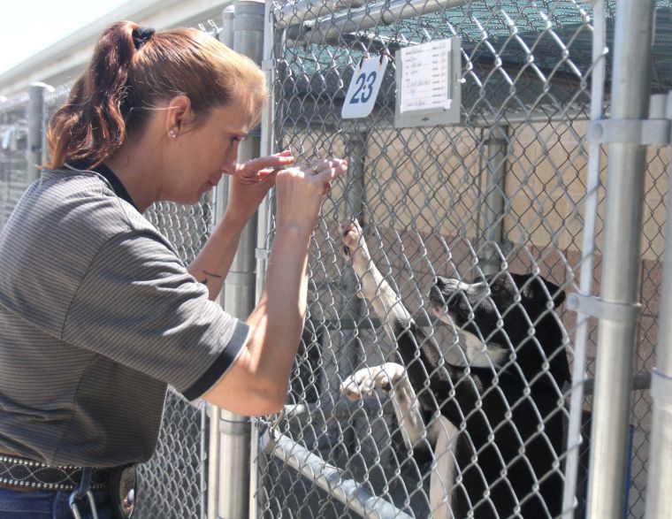 Copperas Cove Animal Control